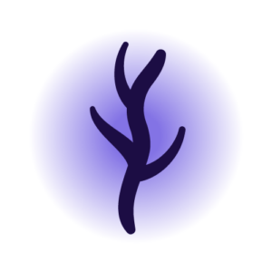 3-Vascular-Lesions-min-300x300